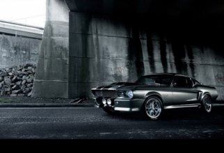 Shelby Mustang GT500 (50 обоев)