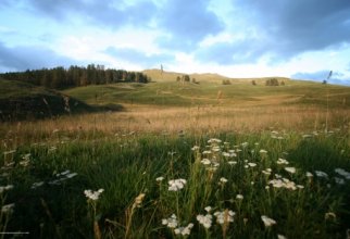 Fields, meadows, steppes (40 wallpapers)