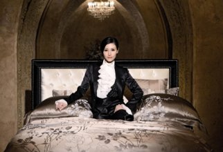 Wallpapers - Hong Kong actress Michelle Reis (32 обои)
