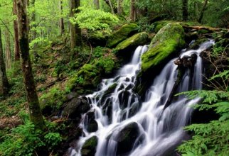 Rivers and Creeks Wallpapers Pack (48 обоев)
