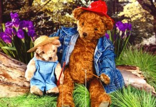 Teddy, Bears (11 шпалер)