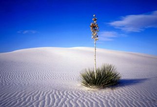 Красивые пустыни мира (55 обоев)
