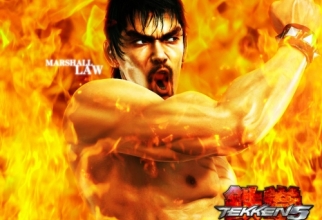 Tekken - Official Wallpapers Pack 3 (36 шпалер)