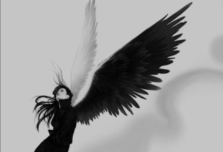 Angels (27 wallpapers)