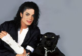 Wallpapers - Michael Jackson (40 шпалер)
