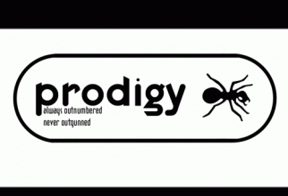 Prodigy Wallpapers (28 wallpapers)
