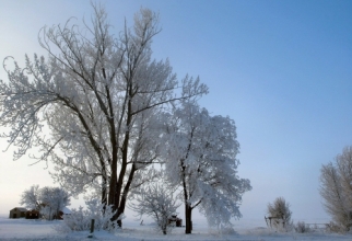 Зимові пейзажі (30 шпалер)