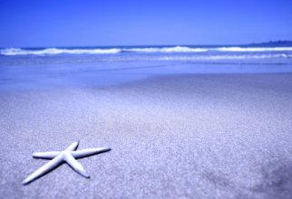 Море, солнце и песок... (33 обои)