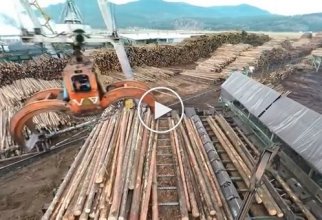 Впечатляющий автоматизированный процесс обработки древесины