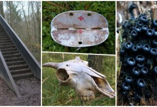 15 подозрительных и загадочных находок, на которые люди случайно наткнулись в лесу (18 фото)