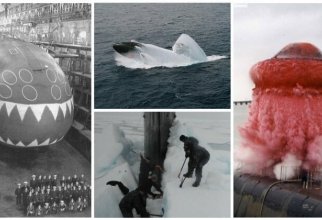 20 невероятных фото из жизни подводных лодок (22 фото)