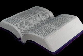 30 интересных фактов о Библии (7 фото)