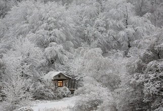 Маленькие одинокие дома одиноких людей (20 фото)