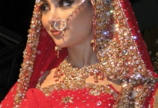 Индийские невесты (17 фото)
