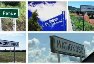 Поехали по селам, городам и улицам: от Приятного свидания до Матюково, а за границей ещё веселее (21 фото)
