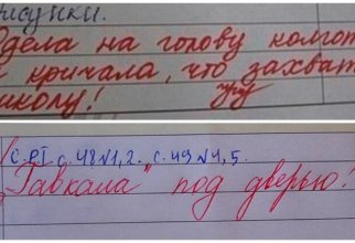 17 убойных замечаний в школьных дневниках, из-за которых родителей вызывают к директору (18 фото)