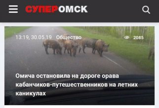 Лучшие заголовки российских СМИ (27 фото)