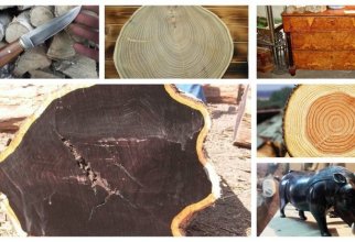 Как будет выглядеть Буратино из разной древесины? (40 фото)