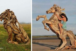 Мастер создает захватывающие дух скульптуры из найденных на пляже сухих деревьев (25 фото)